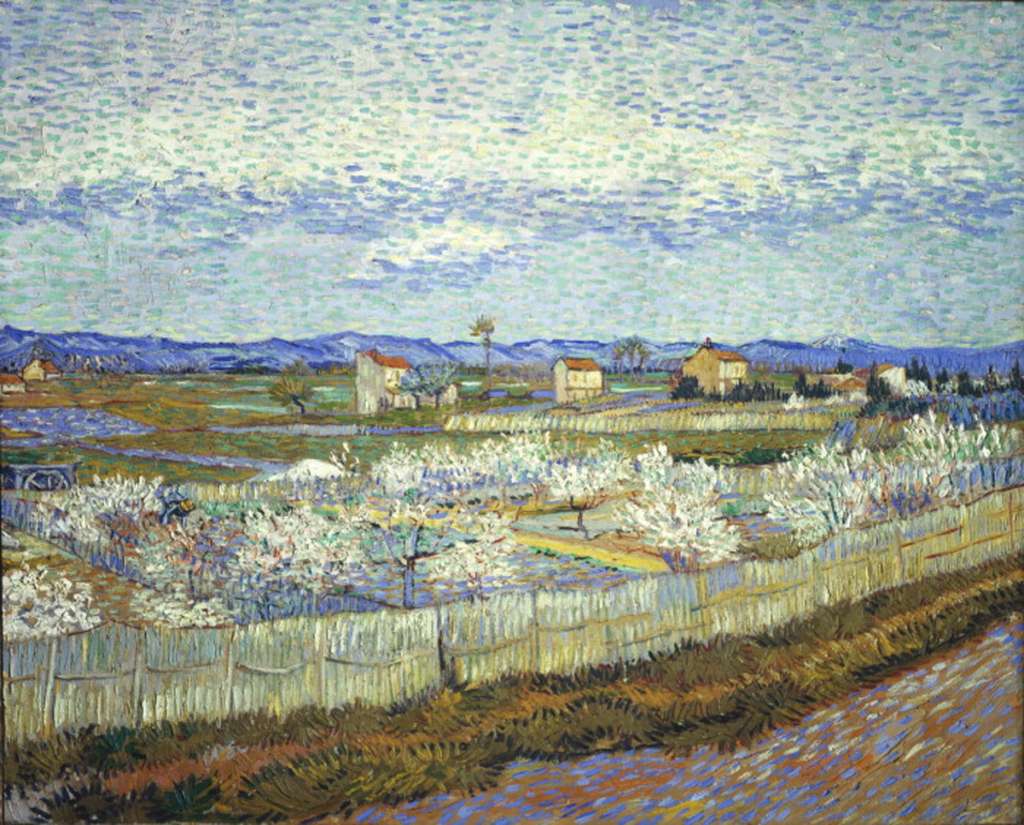 Courtauld 06 Vincent Van Gogh - Peach blossom in the Crau 6. Vincent van Gogh - Peach Blossom in the Crau, March-April 1889, 65 x 81 cm. Crau is a wide plain that lies to the north-east of Arles. Van Gogh: �the big one is a poor landscape with little cottages, blue skyline of the Alpilles foothills, sky white and blue. The foreground, patches of land surrounded by cane hedges, where small peach trees are in bloom � everything is small there, the gardens, the fields, the orchards and the trees, even the mountains, as in certain Japanese landscapes, which is the reason why the subject attracted me�.